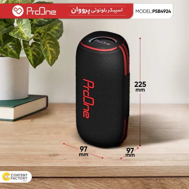 نمای جلو اسپیکر پرووان مدل PSB4924 با طراحی حرفهای
